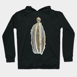 Carrot seed under microscope Hoodie